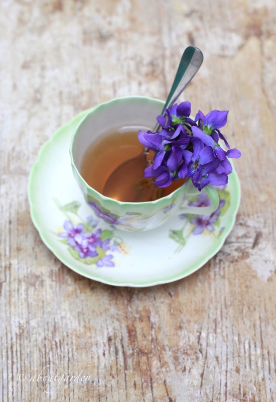 Tè alla violetta - ABOUTGARDEN